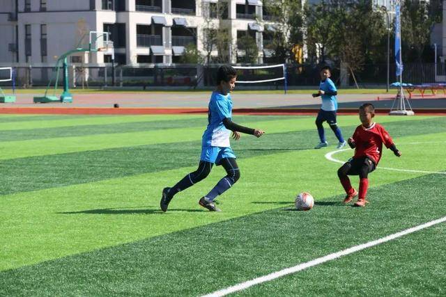 韩红基金会的供应商陷入危机，称其为空壳公司