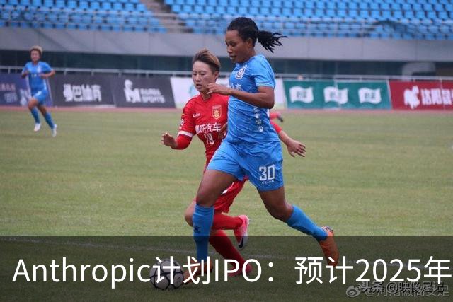 Anthropic计划IPO：预计2025年收益增长至46亿美元，净亏损达420亿美元